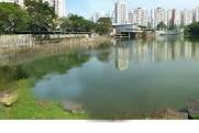 Blk 223 Pending Road (Bukit Panjang), HDB 3 Rooms #180056852
